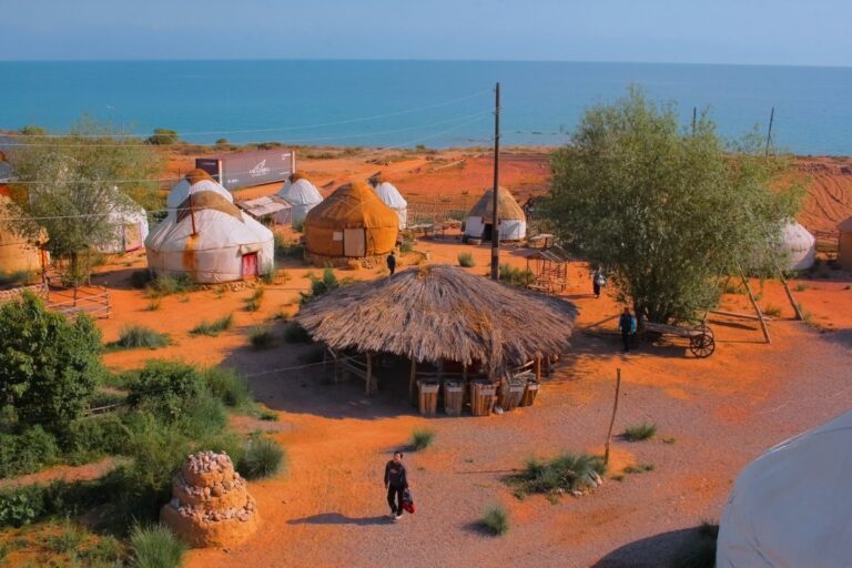 bel-tam01