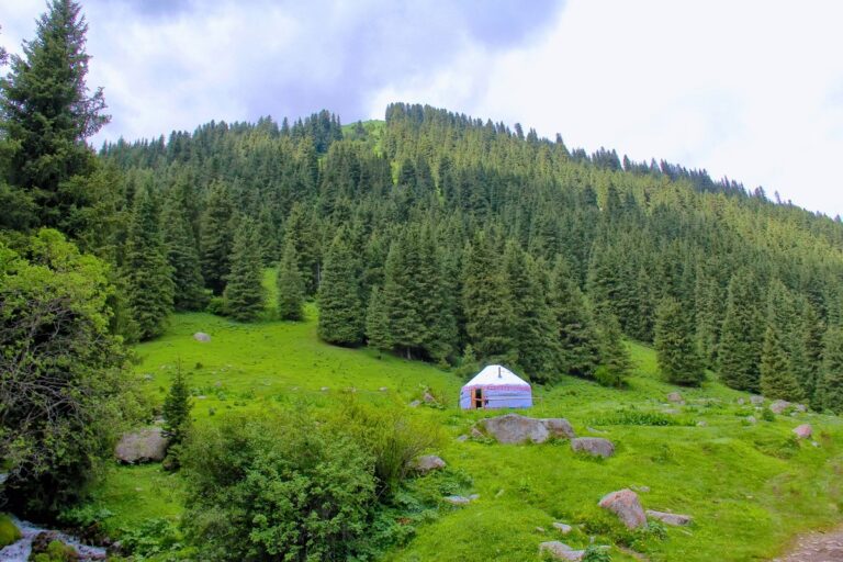 karakolsk08