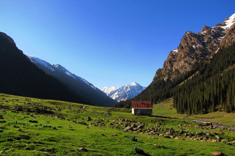 Луг в Алтын-Арашан, с видом на горы и ледники