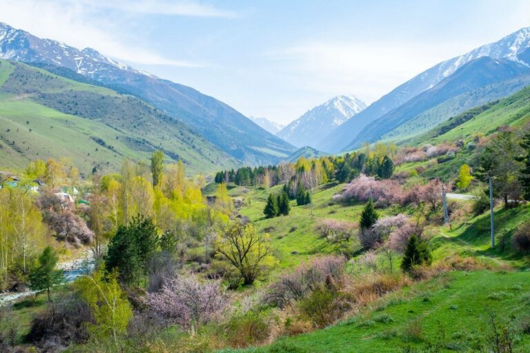 Живописная дорога к ущелью Барскоон