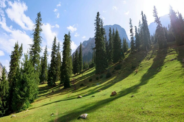 Тропинки и подъём на гору к водопадам ущелья Барскоон