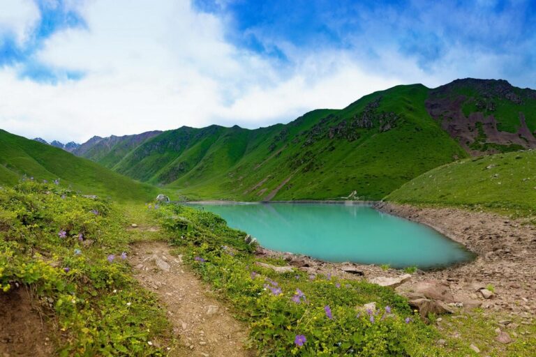 Красивый вид на озеро Коль-Тор с цветами и зеленью